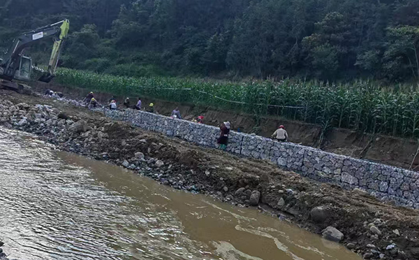 高爾凡格賓網(wǎng)