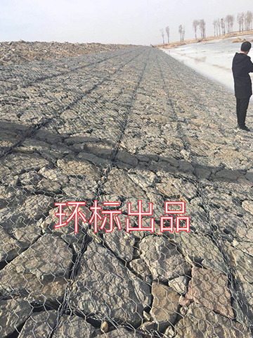 應用案例