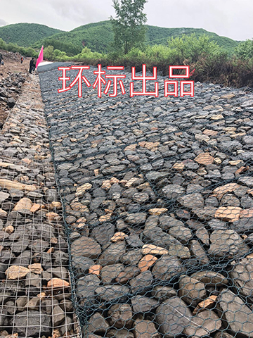 應(yīng)用案例