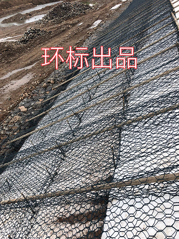 應(yīng)用案例